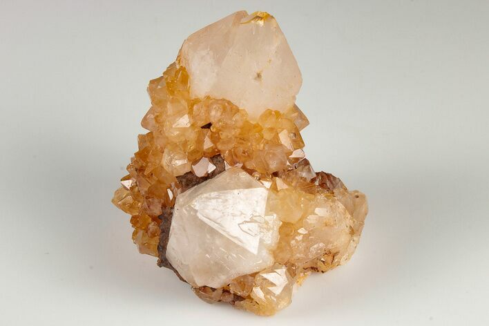 Sunshine Cactus Quartz Crystal Cluster - South Africa #191794